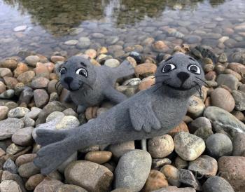 Two seals. Belova Asya