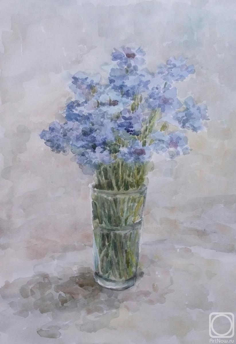 Klyan Elena. Cornflowers. Original watercolor drawing