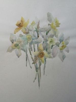 Narcissuses. Klyan Elena