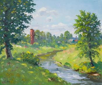 Tosna river in summer. Alexandrovsky Alexander