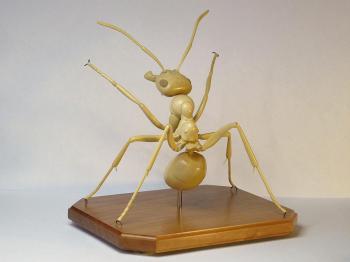 Ant (Boxwood). Utkin Viktor