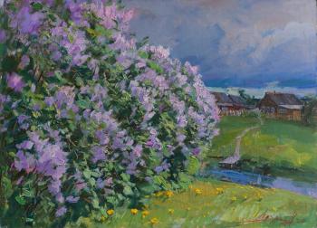 Lilac illuminated by the sun