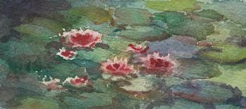 Scetch Water lilies. Klyan Elena