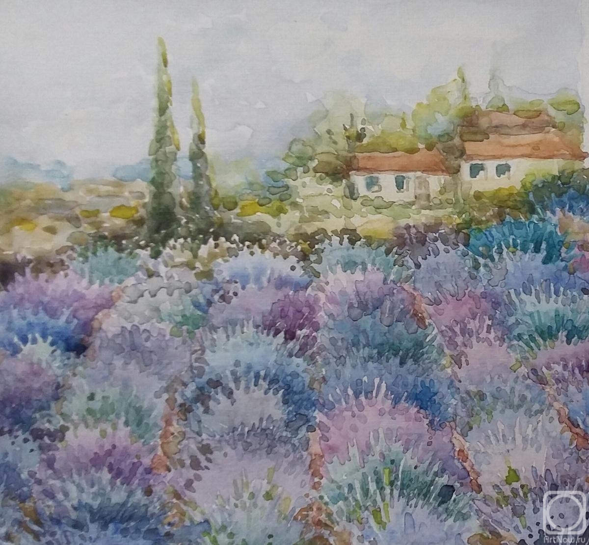 �������. ���� �����. ������� � ����