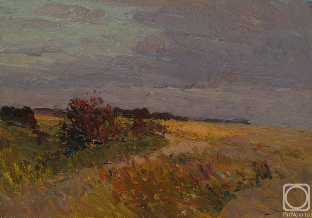 Makarov Vitaly. August, evening, fields