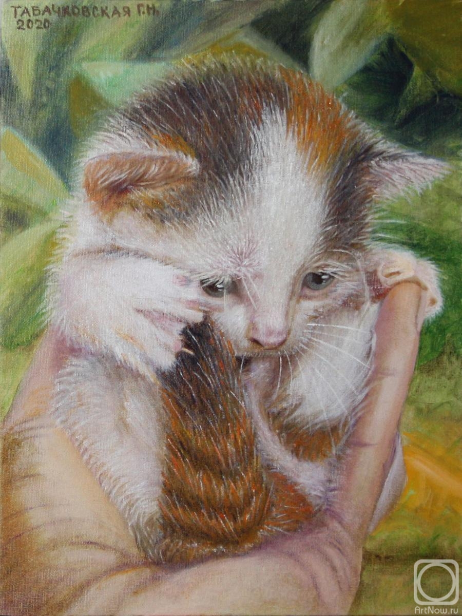 Kudryashov Galina. Kitten in the palm of your hand