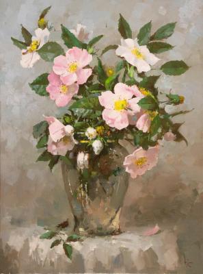 Briar. Hamaljan Suren