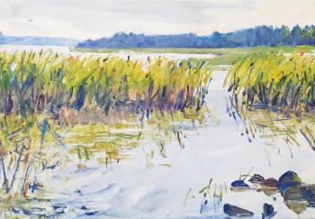 ������� ������� �����