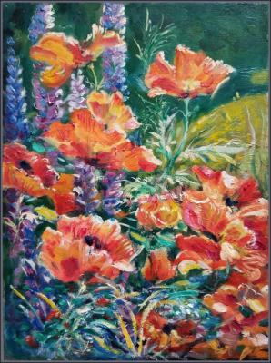 ������ ���� (����������� ����� ��������) (��� ����). ������ ���������