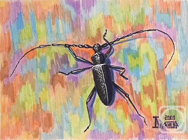 Lukaneva Larissa. Large Oak Barbel