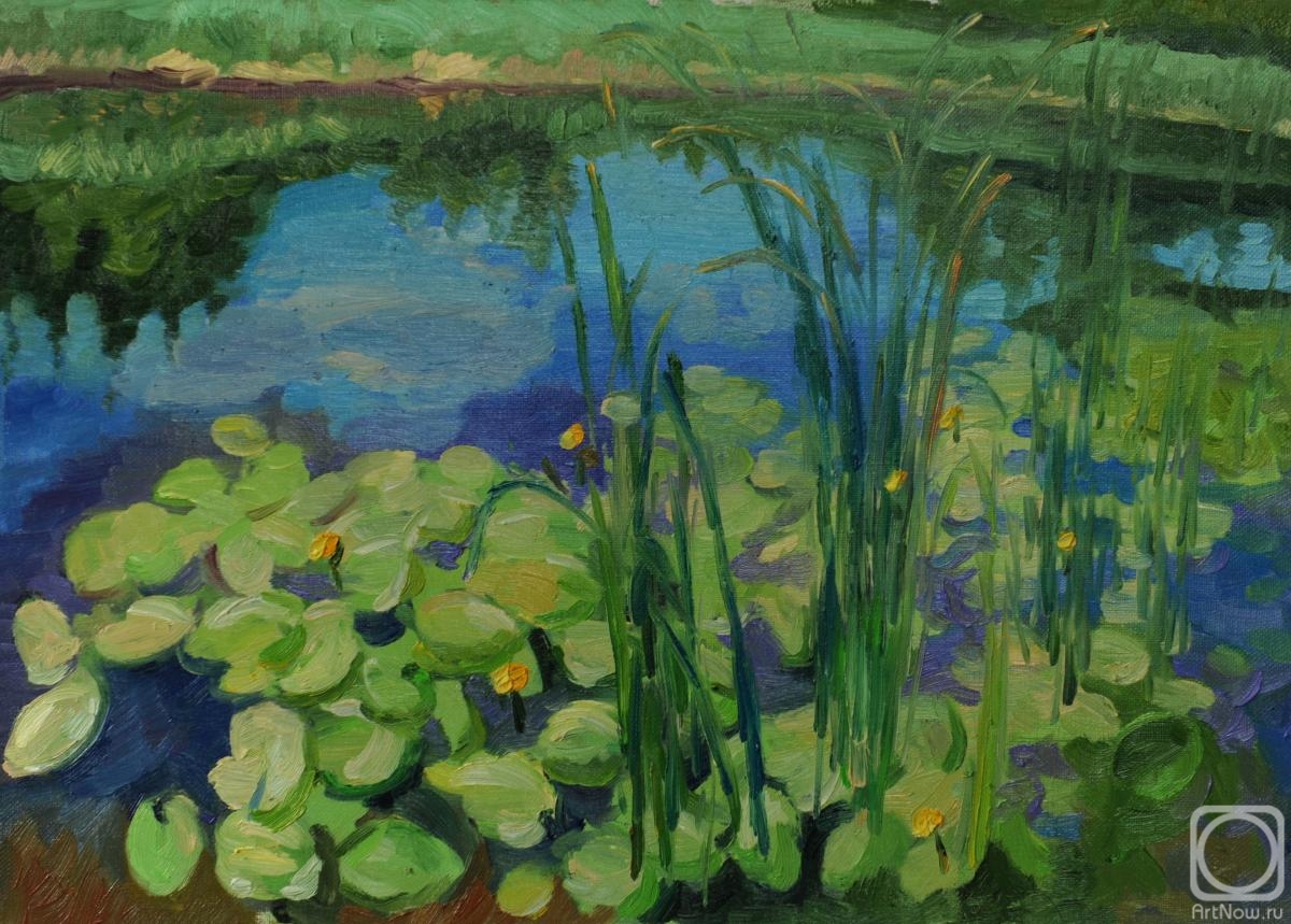 ������� ������ �� ������. ������� �������. �� �����