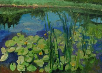 ������� ��� �����