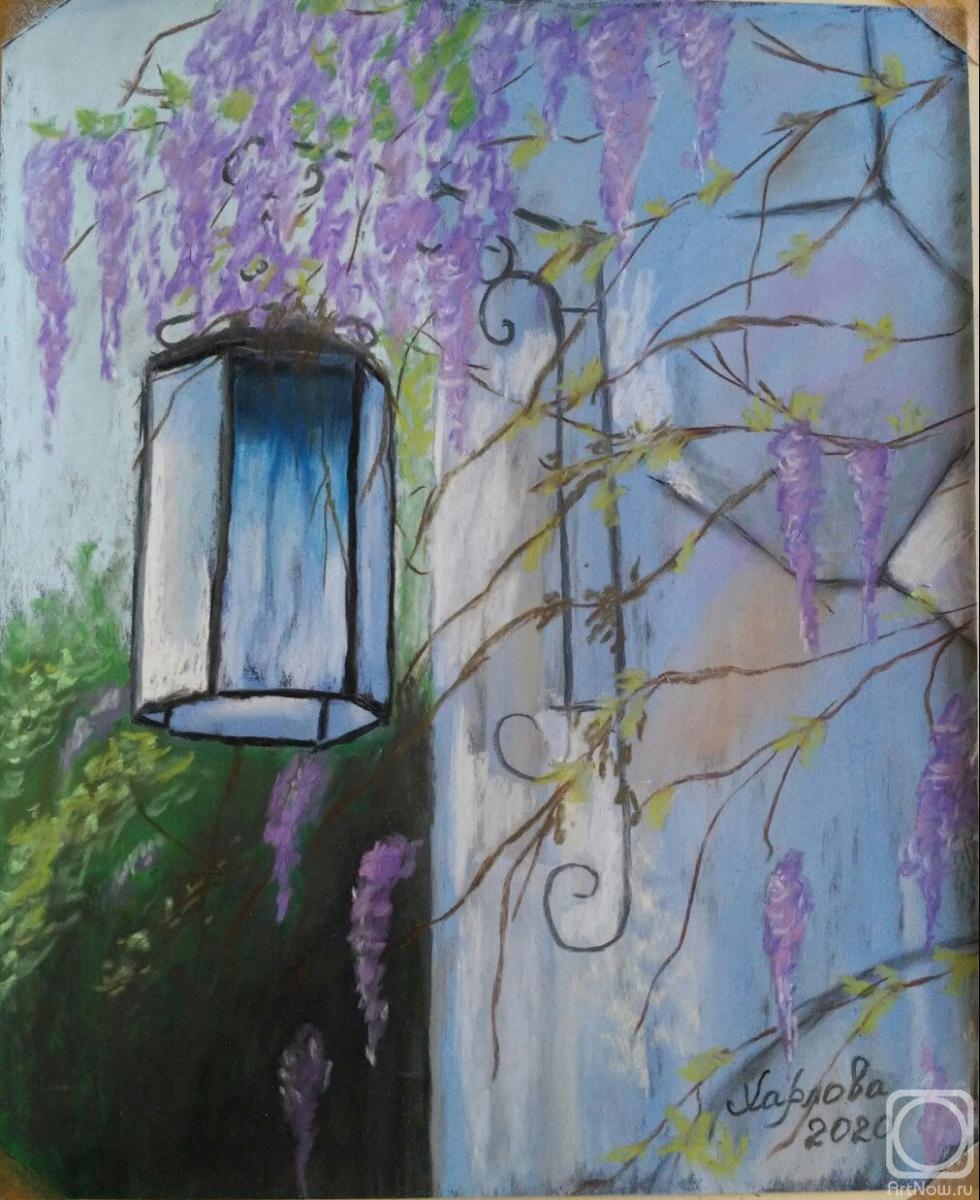 Harlova Tatyana. Lantern with wisteria