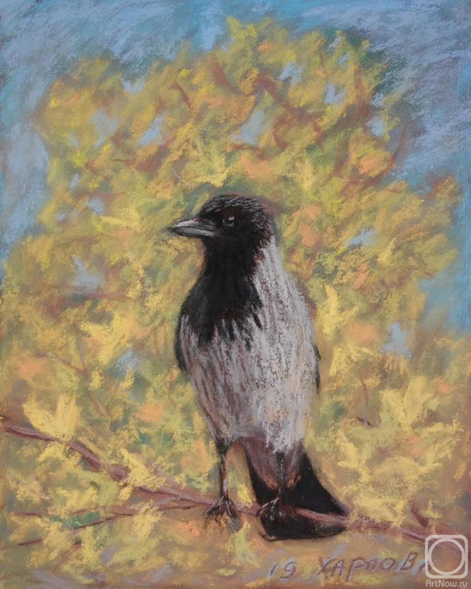 �������. ������� �������. �����