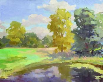 Tutaev. Pond by the road