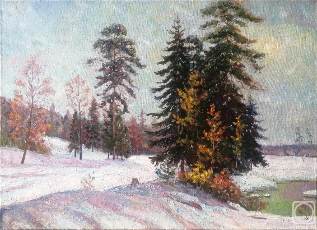 Galimov Aydar. Winter landscape