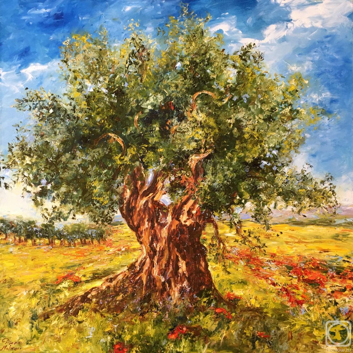 Malivani Diana. Olive Tree