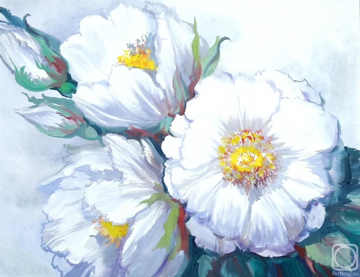 �������. ���������� ���������. ����� ���� � ����