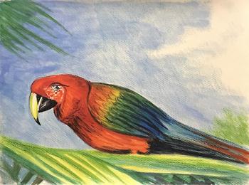 ������� ������ 94 (�������)�