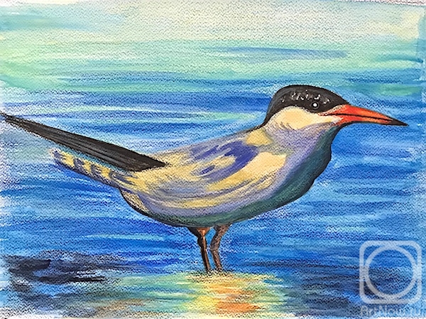 �������. �������� ������. ����� 149. ����� �� ����