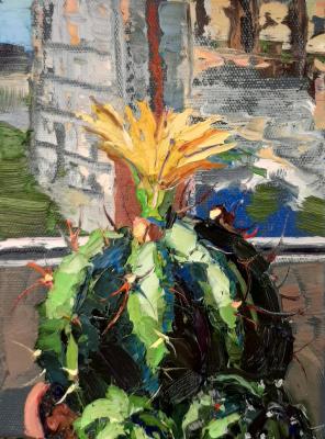 ������� ���������� ����