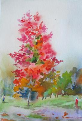 ������� �������� ������