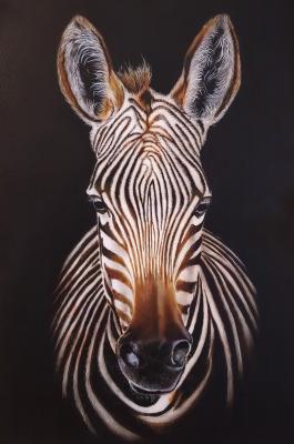 Zebra. Litvinov Andrew