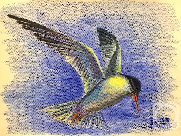 �������. �������� ������. ������ �����