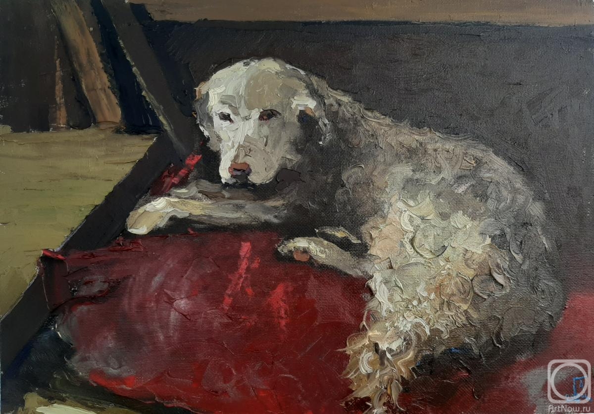 Golovchenko Alexey. The dog