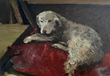 The dog. Golovchenko Alexey