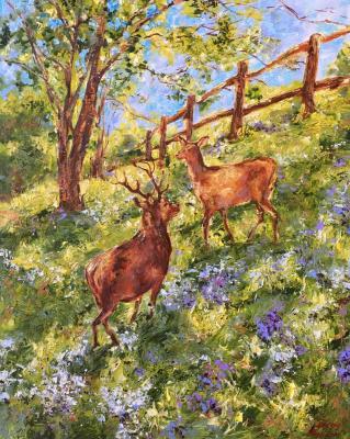 ������� ��������� ����