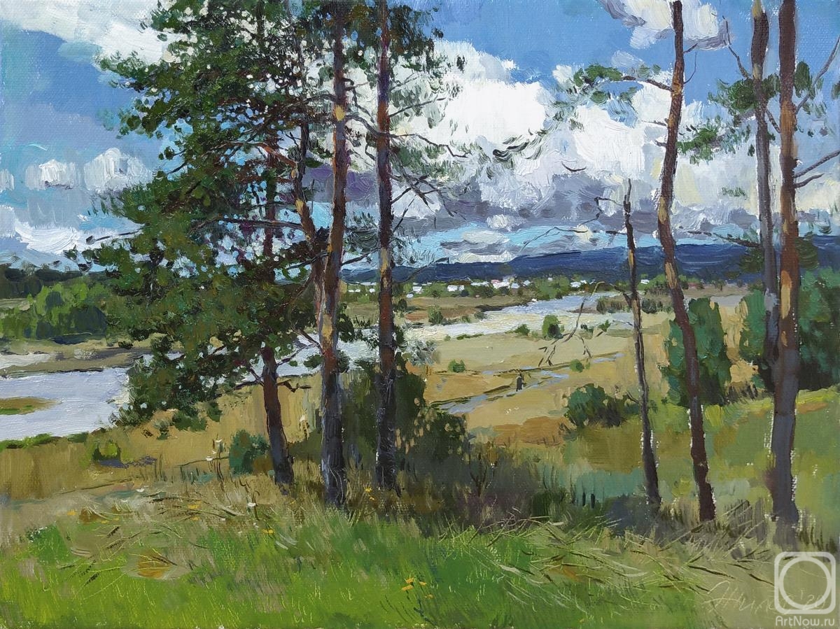 Zhilov Andrey. Pines by the river