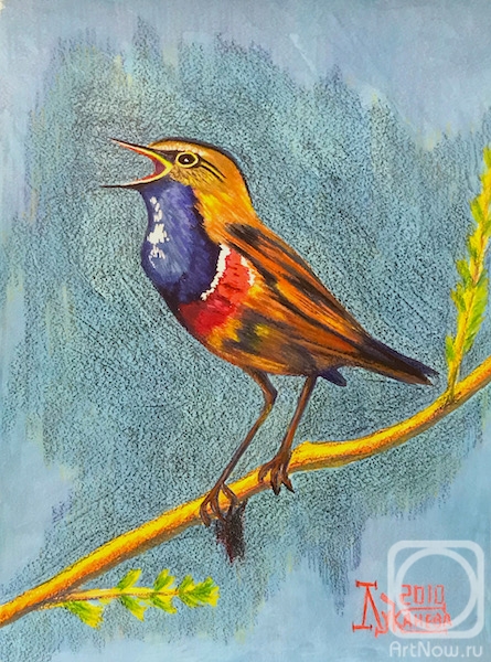 �������. �������� ������. �������� �������