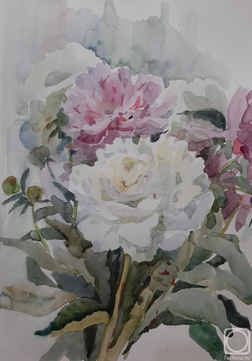 �������. ���������-������� �����. �����