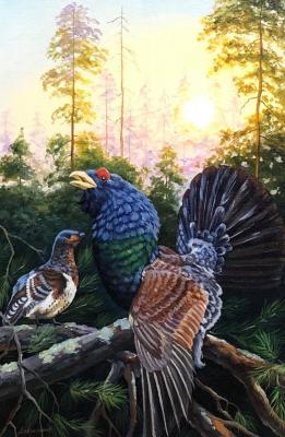 A pair of grouse