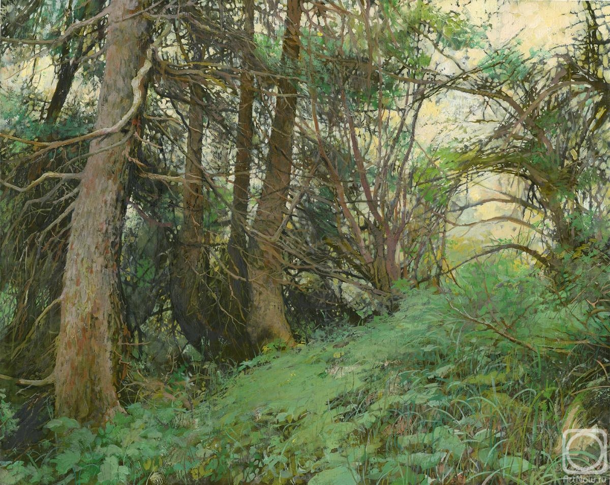 Chernov Denis. Forest