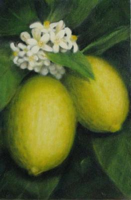 Painting Lemons on a branch. Fomina Lyudmila