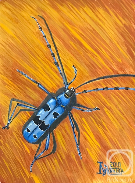 �������. �������� ������. ������� ����