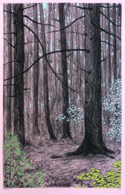 ������� �������