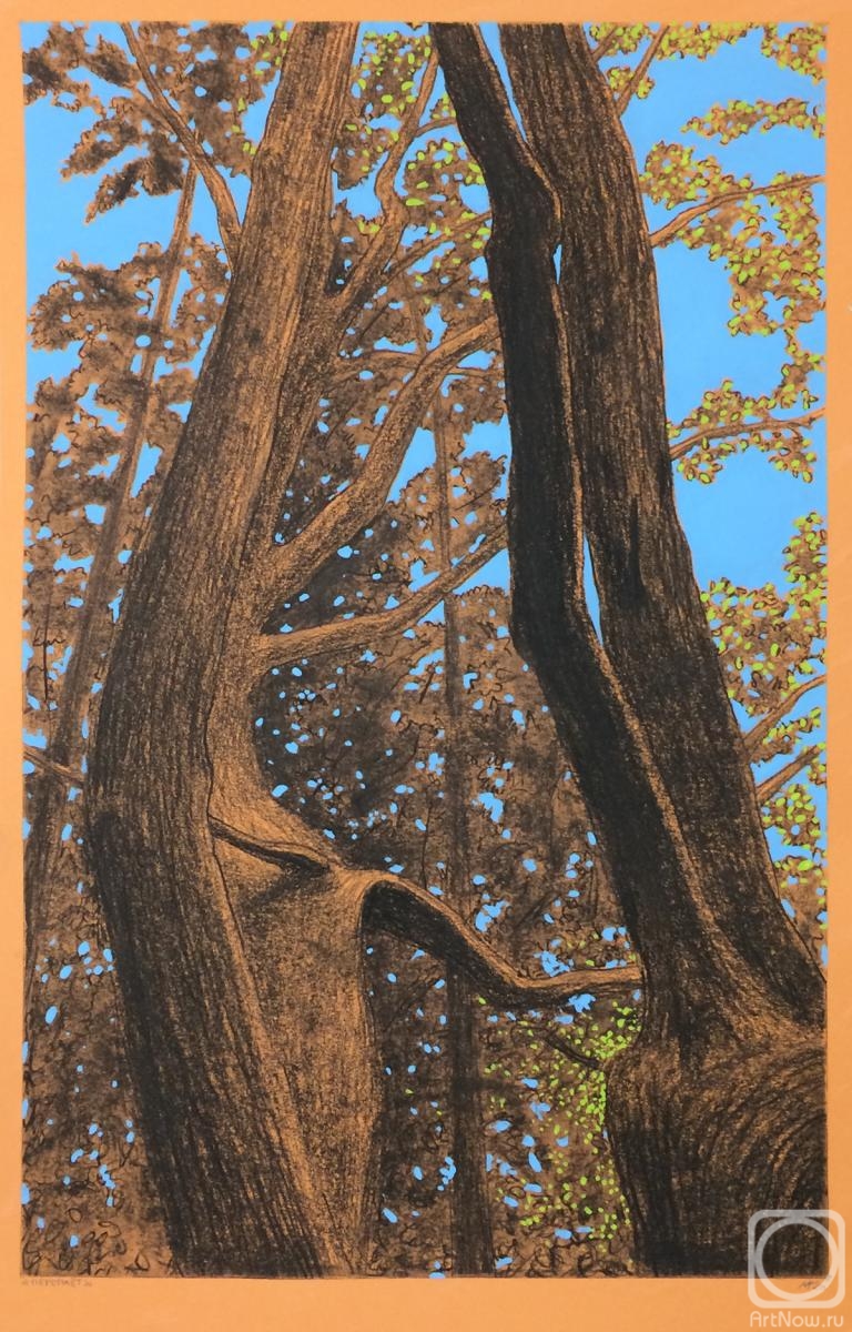 �������. ������� �����. �������