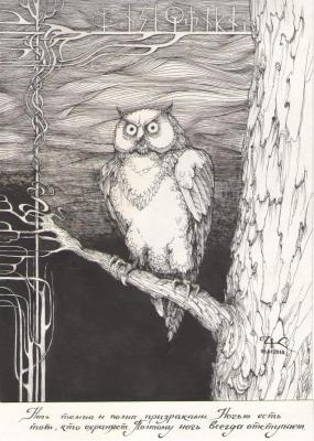 Owl