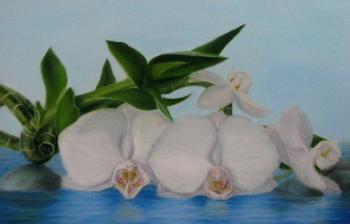 Painting Orchid. Fomina Lyudmila