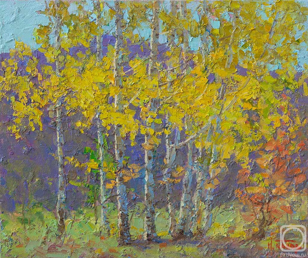 Panov Igor. Birches of warm autumn