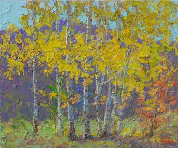 Birches of warm autumn. Panov Igor
