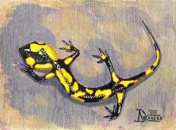 Flame-coloured Salamander. Lukaneva Larissa