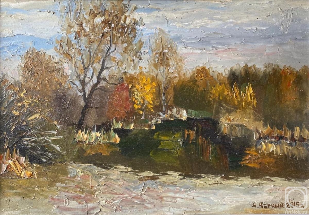 Chernyy Alexandr. Autumn day by the pond