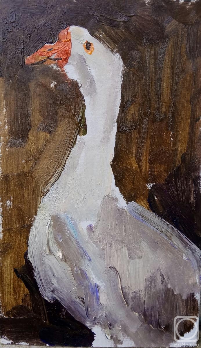 �������. ������� �������. ����