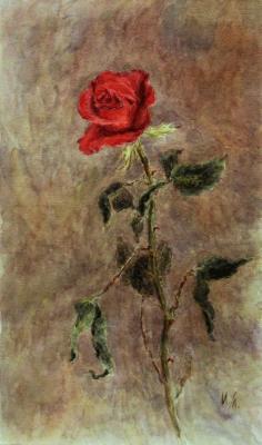 Red Rose. Lomanova Irina
