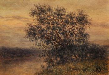 �� �������� (������). �������� �����