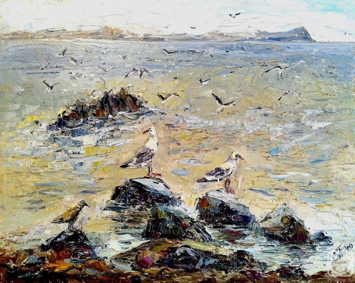 Polyudova Evgeniya. Seagulls off the coast